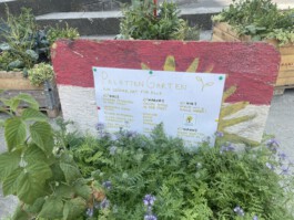 G40 Homeless Garden